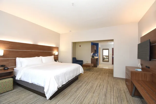 Suite, King Bed, Living Area, Holiday Inn Express Hotel And Suites Southern Pines Pinehurst Area 1/5