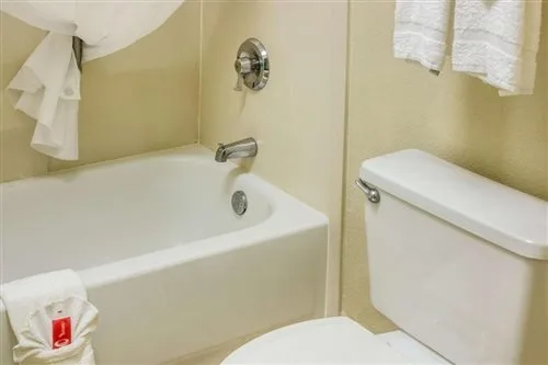 غرفة قياسية، Econo Lodge Palm Coast, FL 1/1