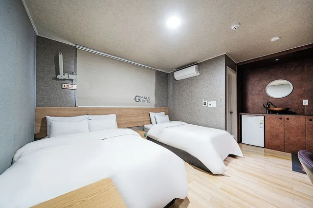 غرفة عائلية بسرير مزدوج وسرير فردي بإطلالة على المدينة، Malu Hotel 3/10