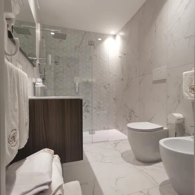 غرفة ديلوكس، Hotel Astoria 6/6