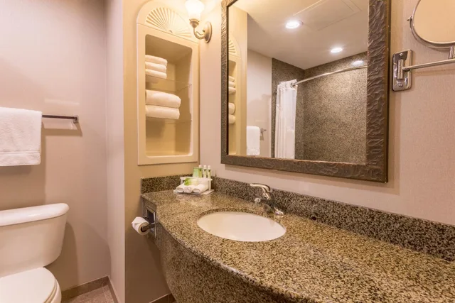 Xtra Space, Standard, King Bed، Holiday Inn Express Hotel and Suites Manteca City Center 6/8