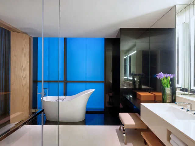 جناح ديلوكس تنفيذي بسرير كينج، Four Seasons Hotel Dubai International Financial Centre 5/5
