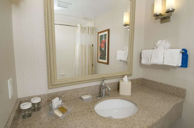 غرفة بريميوم بسرير كينج، Hilton Garden Inn Troy 2/2