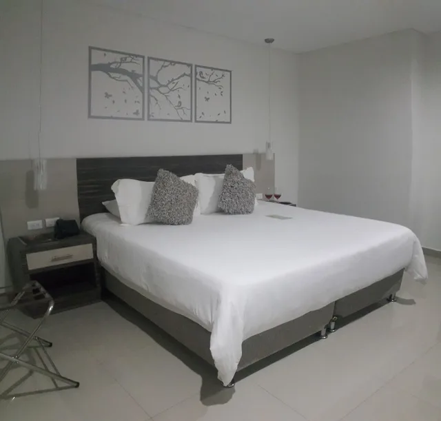 غرفة ديلوكس بسرير كينج، HOTEL OXFORD BARRANQUILLA 2/4