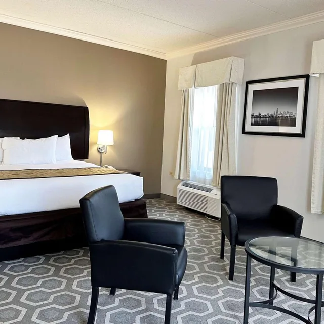 غرفة سوبيريور بسرير كينج، Chicago South Loop Hotel 1/4