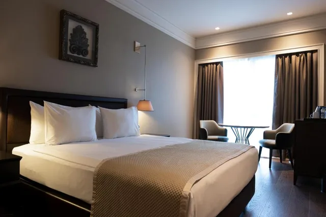 French, Executive, City View، Windsor Hotel & Convention Centre Istanbul 2/4