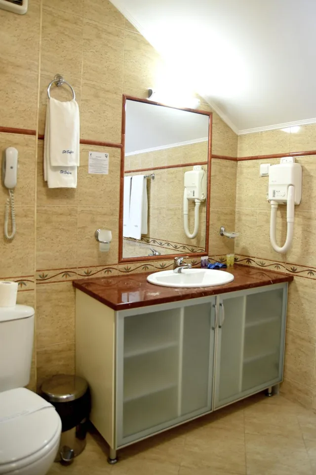 Vip, Apartment, King Bed، Sveta Sofia Hotel 4/4