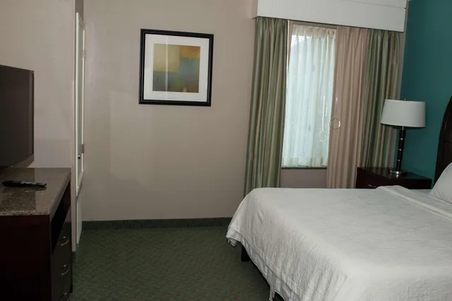 جناح جونيور بسرير كينج، Hilton Garden Inn Tyler 1/2
