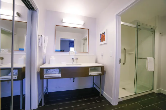 جناح استوديو بسرير كينج مع أريكة، Hampton Inn Suites Forest City Nc 3/3