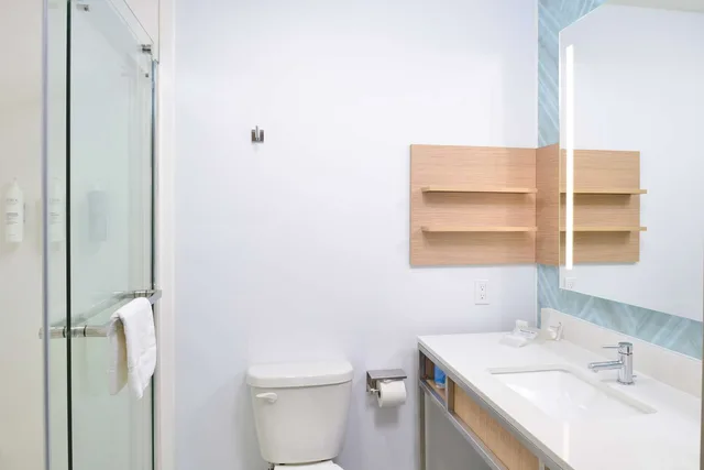 جناح جونيور بسرير كينج مع أريكة، Hilton Garden Inn Denton 2/3