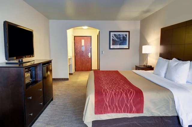 غرفة قياسية بسرير كينج، Comfort Inn & Suites Amarillo West Near Medical Center 2/9