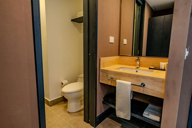 Business, Queen Bed, Accessible, Hampton by Hilton Santiago Las Condes 6/9