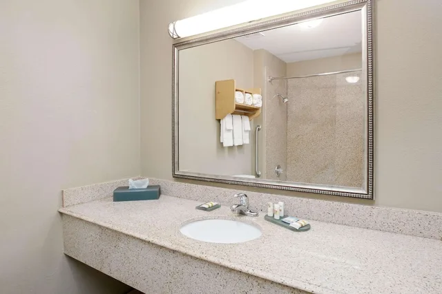 جناح بسرير كينج لذوي الإعاقة، La Quinta Inn And Suites Paris 4/6