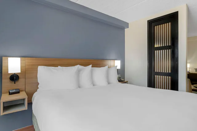 غرفة بسرير كينج مع أريكة، Hyatt Place Houston North 1/4