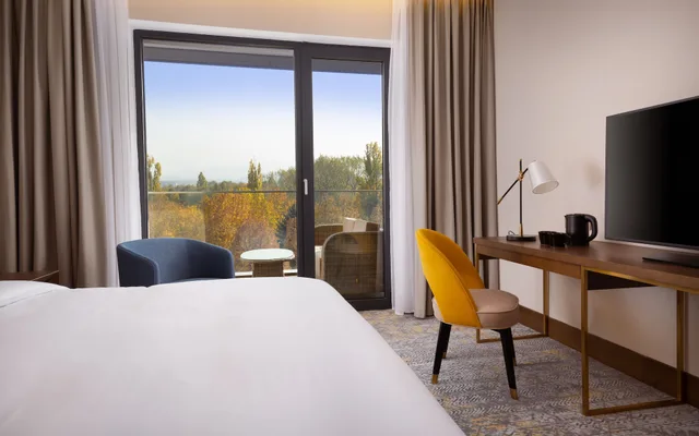 غرفة كلاسيكية بسرير مزدوج بإطلالة على الجبل، Swissotel Wellness Resort Alatau Almaty 5/9