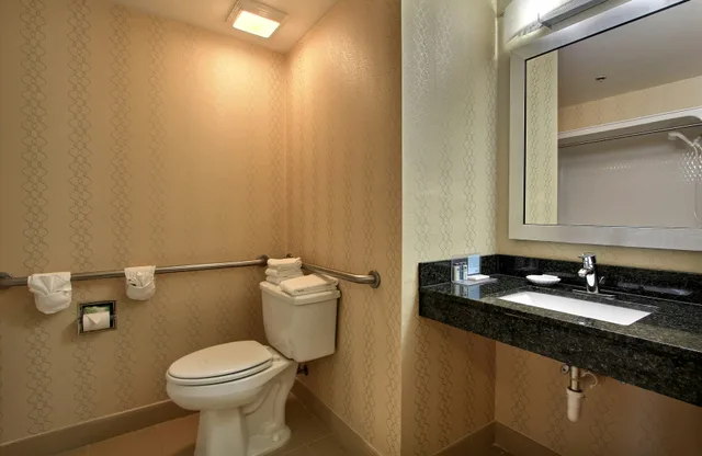 غرفة بسرير كينج لذوي الإعاقة، Hampton Inn Savannah-I-95 Richmond Hill 4/6
