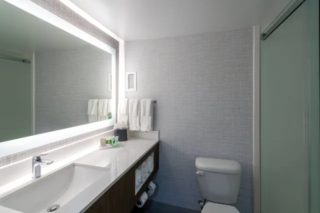 غرفة قياسية بسرير كينج، Holiday Inn Huntsville Research Park 6/6
