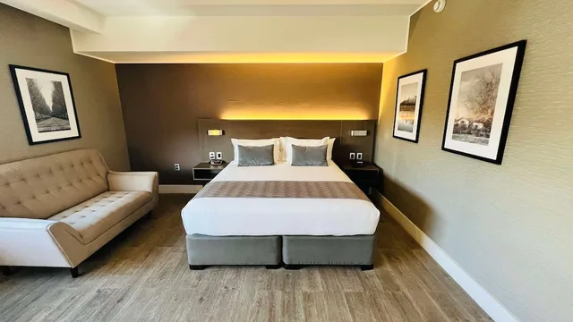Studio, Suite, King Bed, Radisson Hotel Curico 3/8