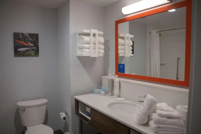 غرفة بسرير كوين بحوض استحمام لذوي الإعاقة، Hampton Inn & Suites Erie Bayfront 6/8
