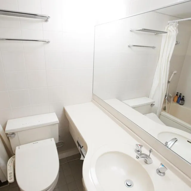 Standard, Twin Beds, Myogi Green Hotel 3/3