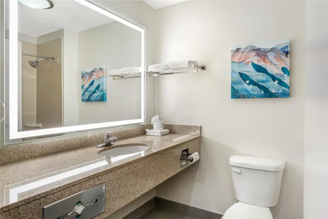Room, King Bed, Pet Friendly, Best Western Plus Airport Inn Suites Salt Lake City 5/5