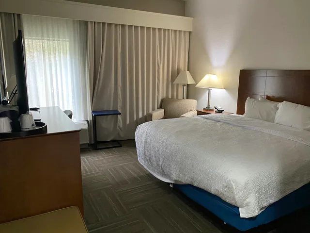 غرفة بسرير كينج لذوي الإعاقة، Hampton Inn Ft. Chiswell-Max Meadows 1/4