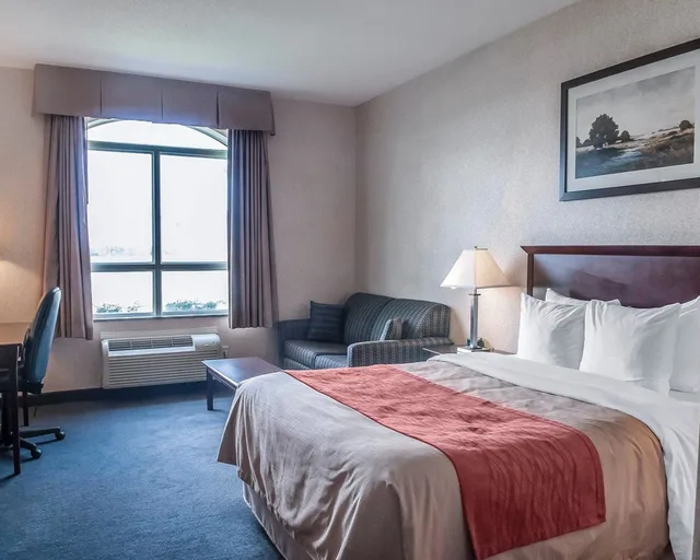 غرفة بسرير كينج، Comfort Inn Mississauga 2/10