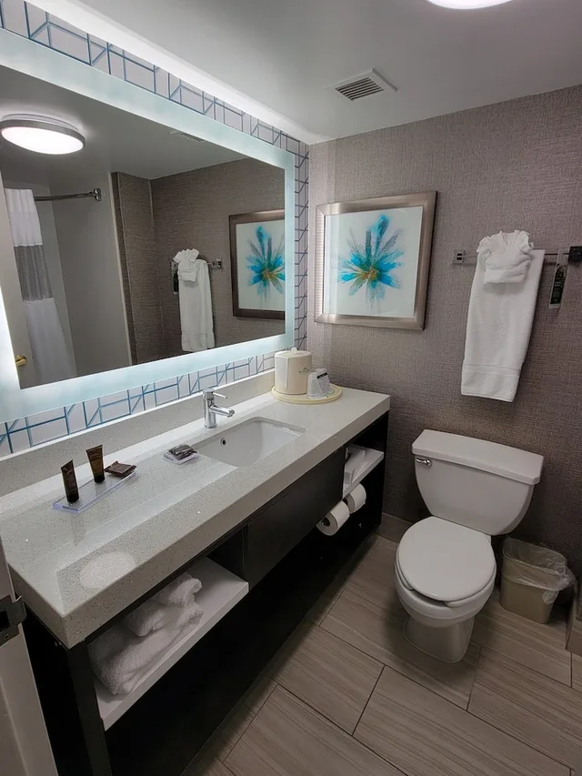 Standard, King Bed, Wingate by Wyndham Greenville Airport 2/4