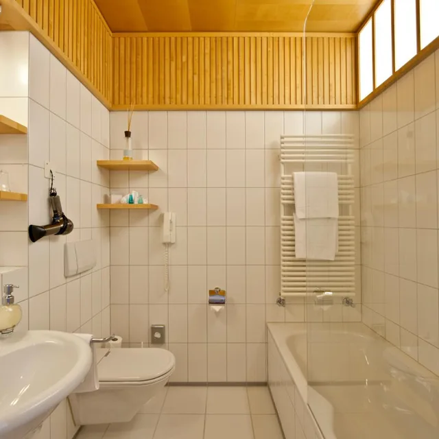 جناح جونيور بإطلالة على البحيرة، Schweizerhof Swiss Quality Hotel 7/9