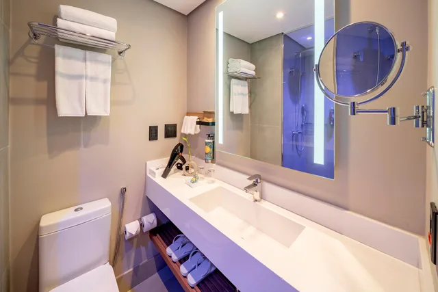 شقة تنفيذية بإطلالة على المتنزه بغرفة نوم واحدة، Grand Mercure SP Itaim Bibi 3/5