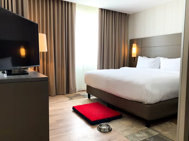 غرفة بسرير كينج بإطلالة على المدينة مع أريكة، Residence Inn by Marriott Merida 1/3