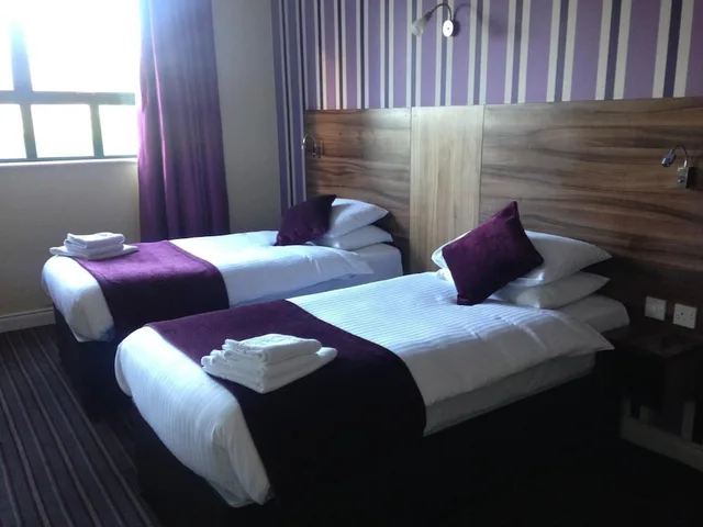 غرفة بسريرين منفصلين، Mourne Country Hotel 1/2