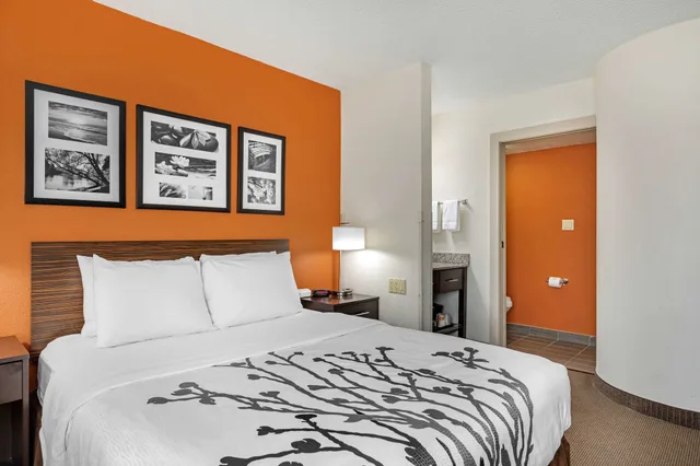 غرفة قياسية بسرير كوين، Sleep Inn DeWitt - Lansing North 1/8