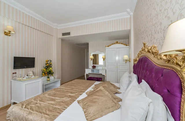 غرفة قياسية بسريرين منفصلين، Santa Sophia Hotel Istanbul 3/10