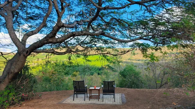 Abangane Guest Lodge، Hlanganani 44/58