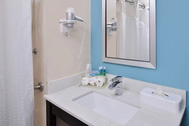 جناح بسرير كينج لذوي الإعاقة، Holiday Inn Express Montgomery - East I-85 5/8