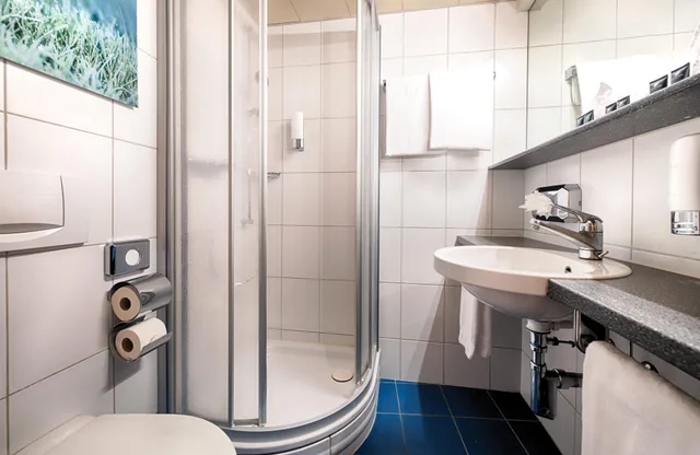غرفة كومفورت مفردة، Leonardo Boutique Hotel Rigihof Zurich 8/9