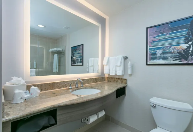 Room, King Bed, Peloton، Hilton Garden Inn Dallas/Arlington 6/7
