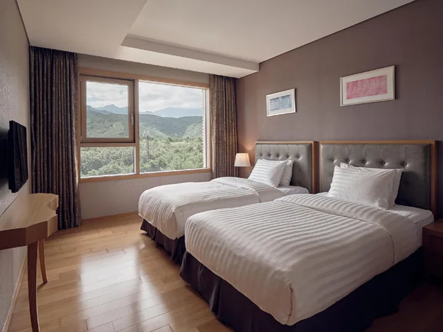 Gold, Sono, Village, Suite, Kitchen، Sono Del Pino 1/1