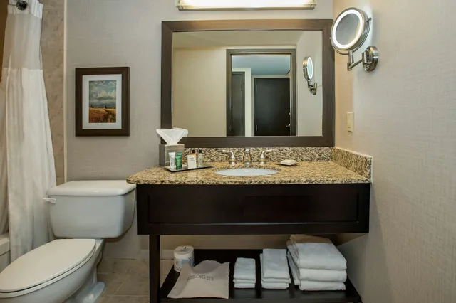 Room, King Bed, Pool Side, Direct Pool Access، Hilton Winnipeg Airport Suites 7/7