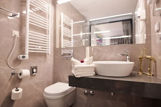 غرفة قياسية بإطلالة على المتنزه مفردة بسرير كوين، Paris Hotel 8/10
