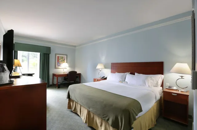 غرفة بسرير مزدوج لذوي الإعاقة، Holiday Inn Express Tampa N I-75 - University Area by IHG 6/10