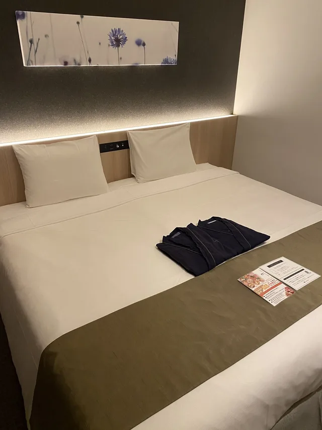 غرفة ديلوكس بسرير كينج، hotel MONday Premium TOYOSU 4/5