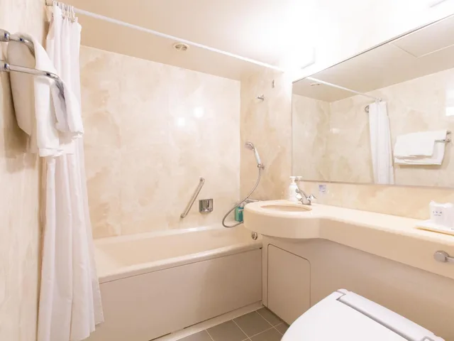 Deluxe, Twin Beds, with Extra Bed, Toyama Chitetsu Hotel 4/4