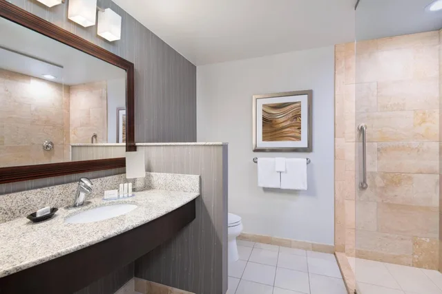 Studio, Sofa, Bathtub, Accessible, Courtyard Pittsburgh Washington Meadow Lands 6/6