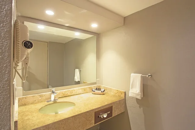 Royal, Suite, King Bed, Partial Ocean View, Hotel Amares Acapulco 9/10