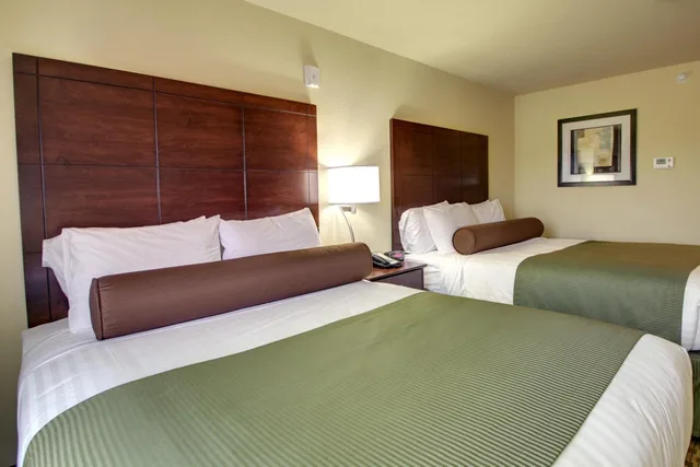 غرفة بسرير كوين لذوي الإعاقة، Cobblestone Hotel Suites Waynesboro Pa 1/7