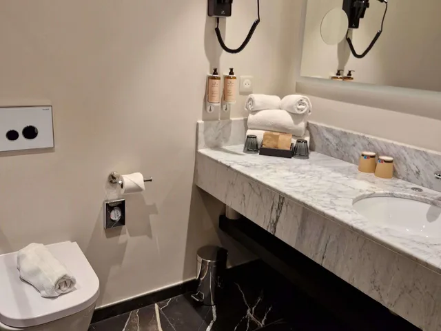 غرفة سوبيريور بسرير كوين، MERCURE ORLEANS CENTRE 3/5
