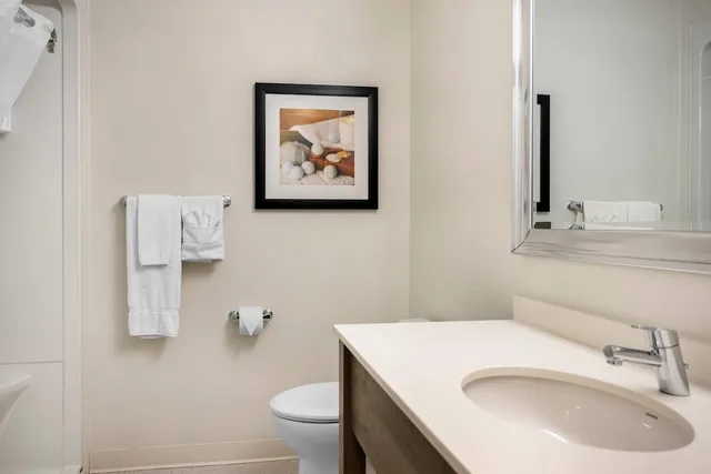 Standard, King Bed, Pet Friendly, Amsterdam Inn & Suites Florenceville-Bristol, an Ascend Collection Hotel 5/5