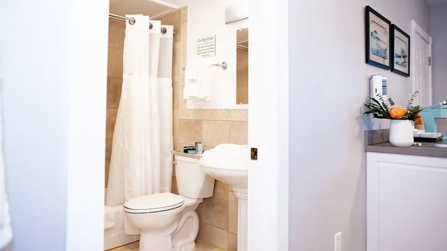Zen, Executive, Suite, King Bed, Terrace, Ground Floor، Meranova Guest Inn 3/3